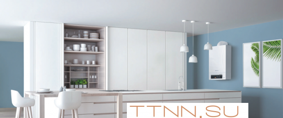 Настенный газовый котел Thermex Andromeda HM18 Настенный газовый котел Thermex Andromeda HM18