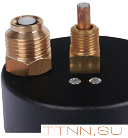 Термоманометр аксиальный Watts FR 818 (TMAX) 2,5 бар Термоманометр аксиальный Watts FR 818 (TMAX) 2,5 бар